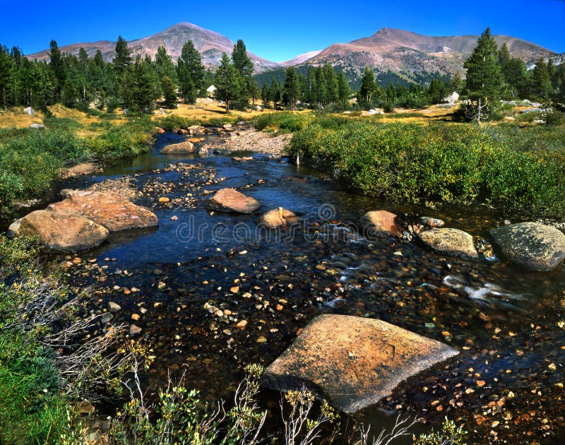 Prati di Tuolumne fotografia stock