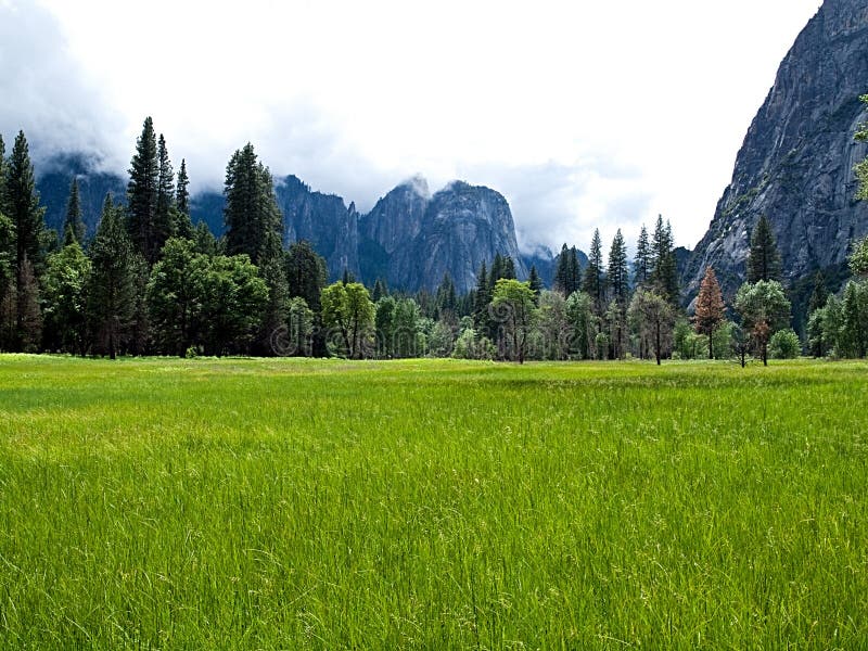 Prato nella valle di Yosemite fotografia stock libera da diritti Prato nella valle di Yosemite fotografia stock libera da diritti