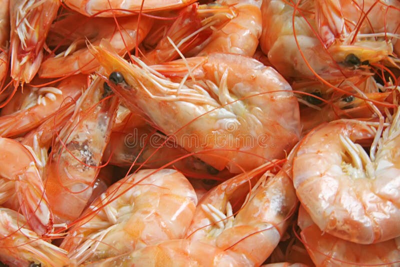 Prawns freshly steamed to be used in a shrimp salad