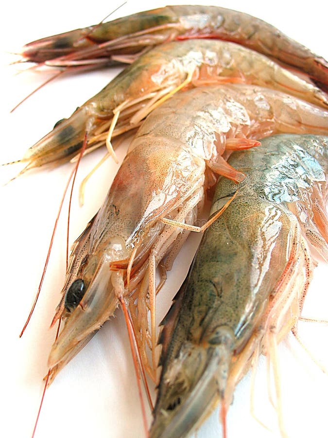 Prawns. Closeup - Prawns Prawns. Closeup - Prawns