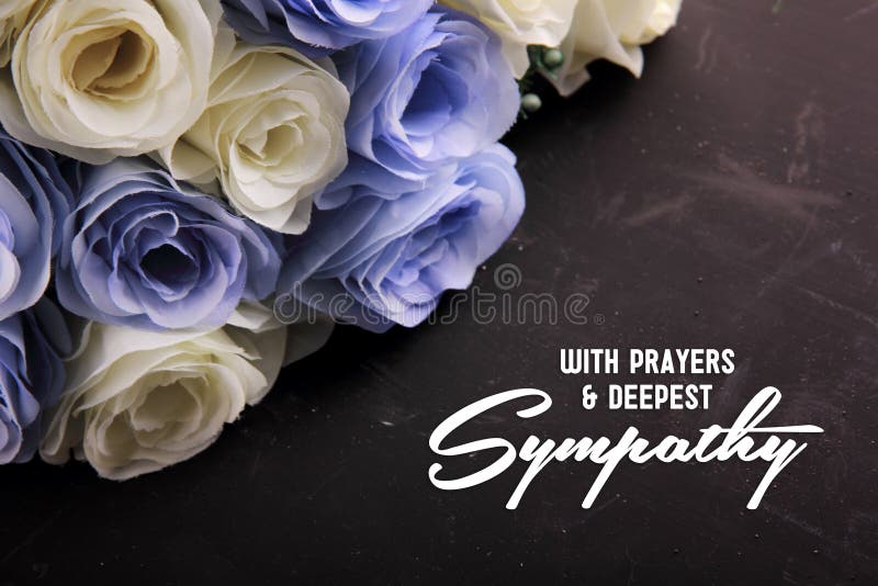 Sympathy Stock Illustrations 12 577 Sympathy Stock Illustrations sympathy-stock-illustrations-12-577-sympathy-stock-illustrations