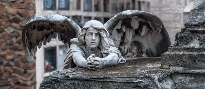Praying angel stock images Praying angel stock images