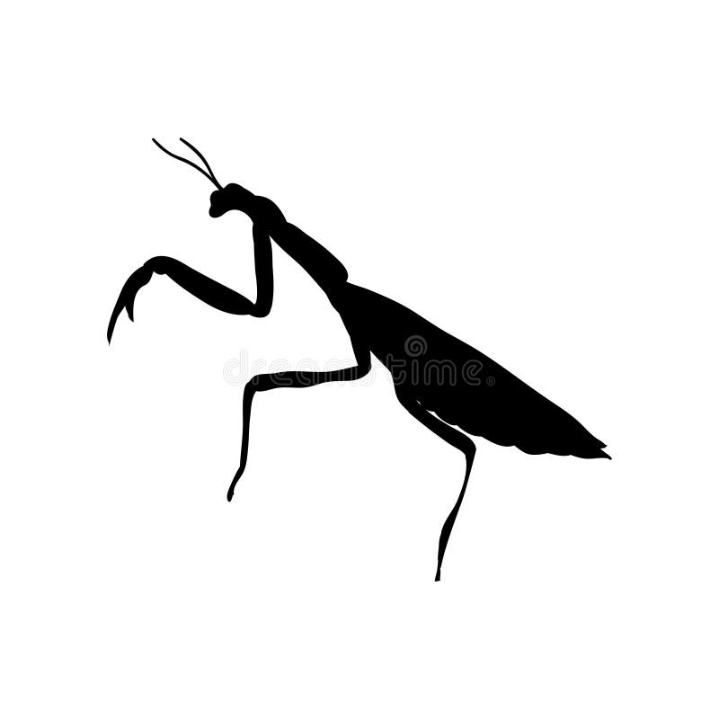 Praying mantis insect black silhouette animal