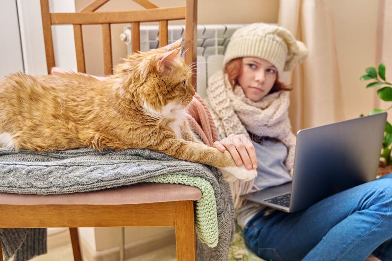Preadolescente cerca de radiador de calefacción usando portátil con ginger cat tumbado en una silla fotos de archivo