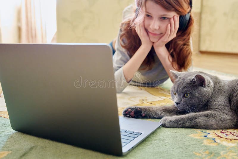 Preadolescente con auriculares y gato británico gris mirando juntos una laptop fotografía de archivo