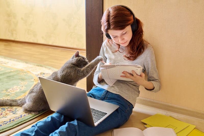 Preadolescente estudiando en casa usando laptop junto con gato foto de archivo libre de regalías