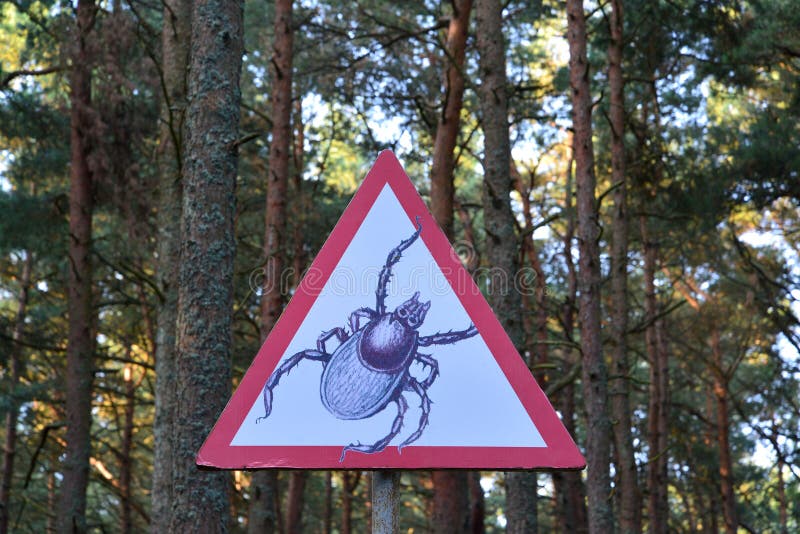 Precautionary sign Carefully — Pincers in the forest. Precautionary sign 'Carefully — Pincers' in the fores royalty free stock photos Precautionary sign Carefully — Pincers in the forest. Precautionary sign 'Carefully — Pincers' in the fores royalty free stock photos