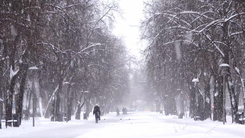 Precipitazioni nevose nella città, la gente che cammina sulla strada nevosa Bufera di neve, bufera di neve