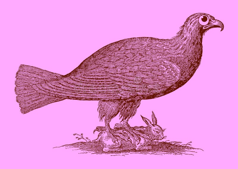 Predador bonito: águia que senta-se em um coelho capturado ilustração do vetor Predador bonito: águia que senta-se em um coelho capturado ilustração do vetor
