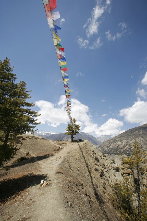Bandierine Tibetane in Ladakh, India Di Preghiera Fotografia Stock -  Immagine di appendere, nubi: 27765324