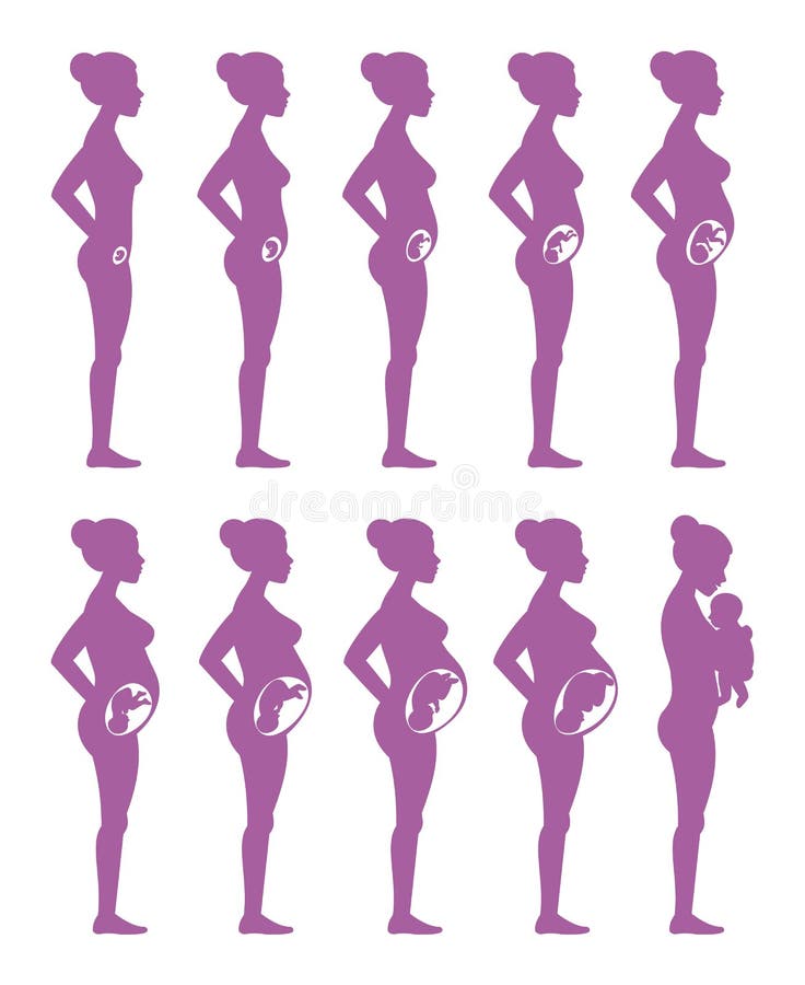 Types Of Women's Breasts. Women's Breast Icon, Breast Icon Vector  Illustration Royalty Free SVG, Cliparts, Vectors, and Stock Illustration.  Image 72295744.