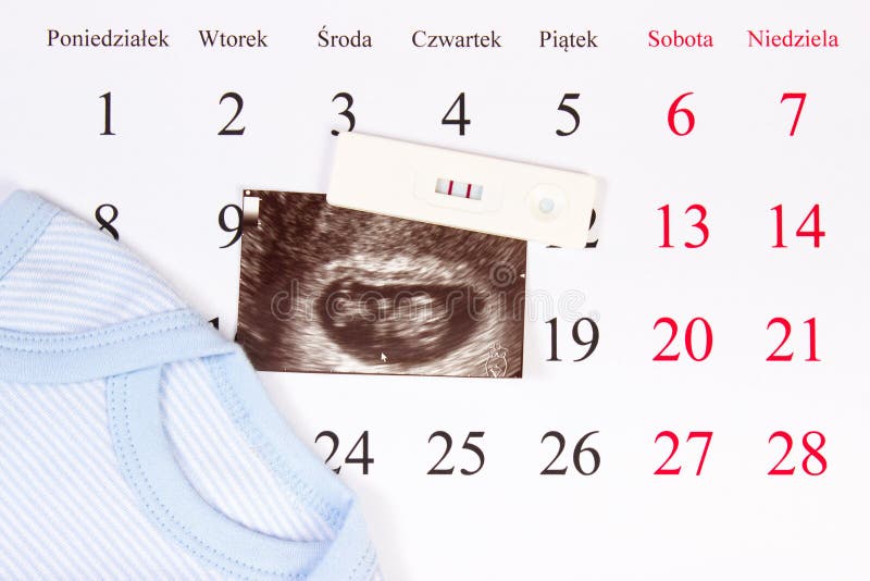 Pregnancy test, ultrasound scan of baby and clothing for newborn on calendar with polish inscription days stock image