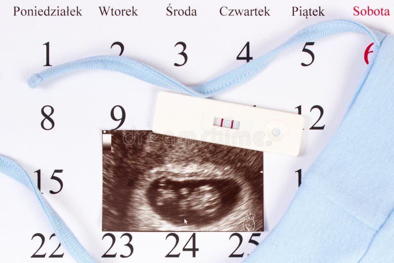 Pregnancy test, ultrasound scan of baby and clothing for newborn on calendar with polish inscription, expecting for baby royalty free stock photos