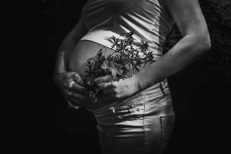 Pregnancy and flower tulip stock image. Image of large 13898035
