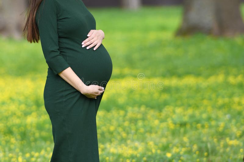 Closeup on the belly of a pregnant woman wearing a long green dress, a new ...