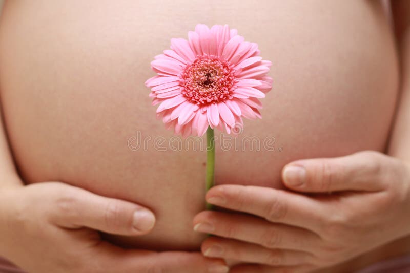 Pregnant belly with pink flower