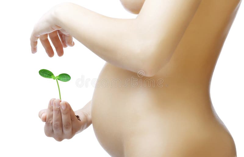 Pregnant belly and a plant in the hands of women