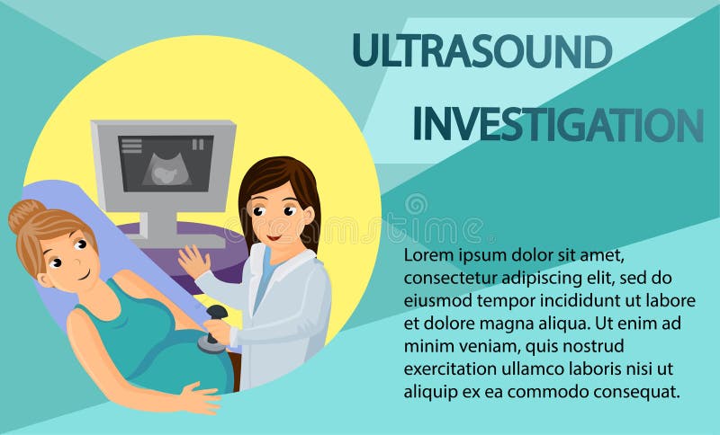 Pregnant. Ultrasound investigation. Vector image vector illustration