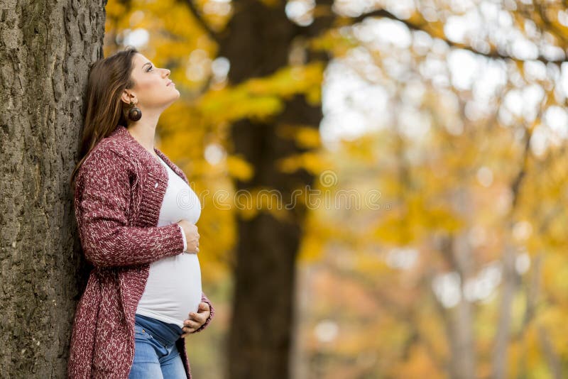Pregnant Woman Wearing Lingerie and Posing in the Room Stock Photo - Image  of expecting, pregnant: 170223200