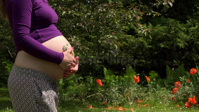 Pregnant woman hands with daisy flowers caress tender belly in garden