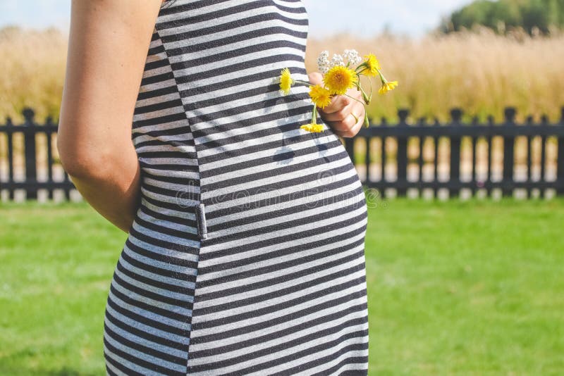 Pregnant woman hands give yellow wild flowers with sunny meadow and blue sk...