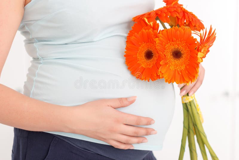 Pregnant woman holding flowers on isolated stock photography Pregnant woman holding flowers on isolated stock photography