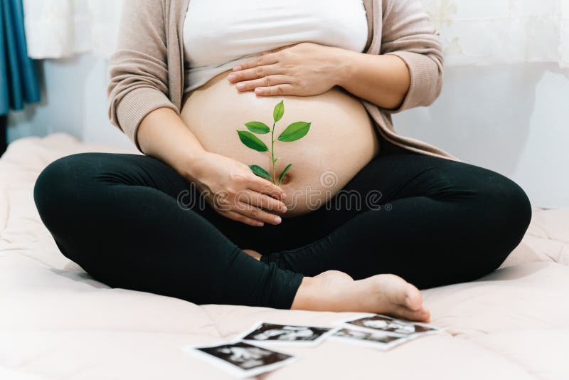 A Pregnant woman holds green sprout plant near her belly as symbol of new life, Mother, wellbeing, fertility, unborn baby health.