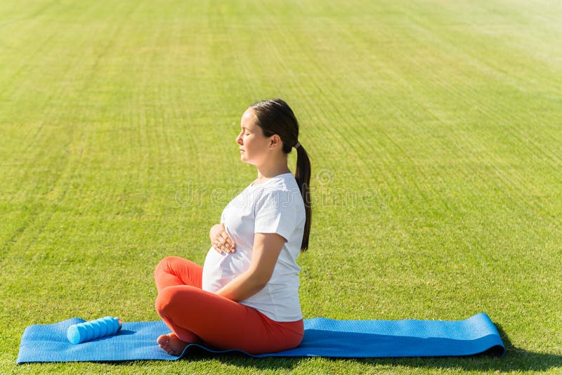 Pregnant Woman Performs Yoga Asanas Stock Image Image Of Wellness Care 249958169