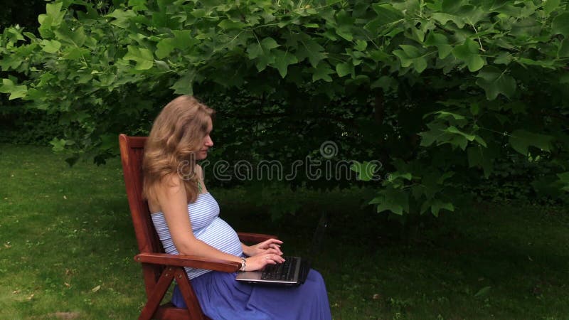 Pregnant Woman Work With Computer On Chair Under Tulip Tree