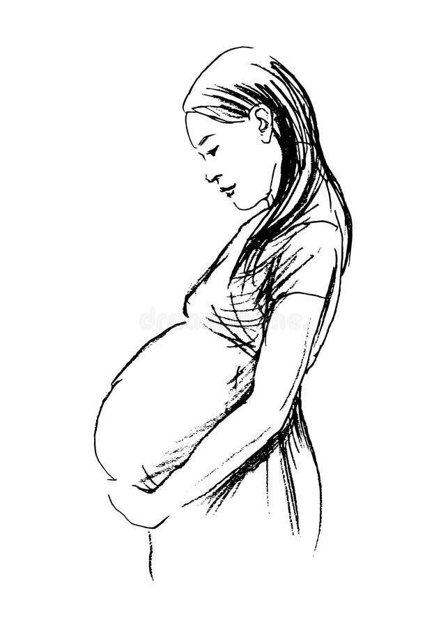 Beautiful Pregnant Woman Sketch Illustration Portrait Stock Photo Picture  And Royalty Free Image Image 140804598