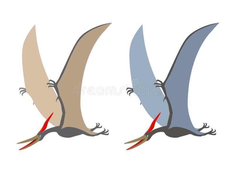 Pterodactyl or pteranodon. Flying prehistoric reptile vector illustration. Stock Vector