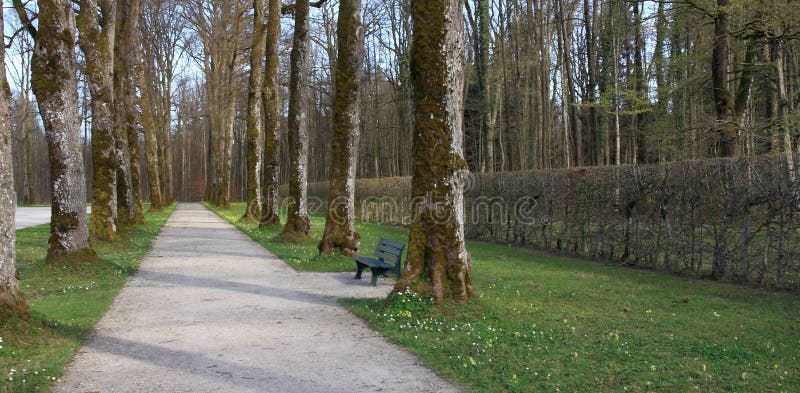 Premier ressort : belle allée en parc image libre de droits Premier ressort : belle allée en parc image libre de droits
