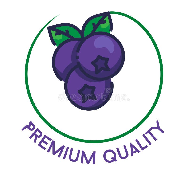 Blueberry fruit logo suitable for business labels, or premium fruit labels stock illustration
