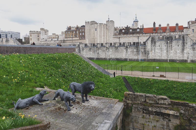 Prenda as esculturas animais de três leões de Barbary por Kendra Haste instalou na torre de Londres, Inglaterra imagem de stock royalty free Prenda as esculturas animais de três leões de Barbary por Kendra Haste instalou na torre de Londres, Inglaterra imagem de stock royalty free