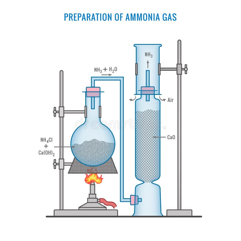 ammonia fountain lab