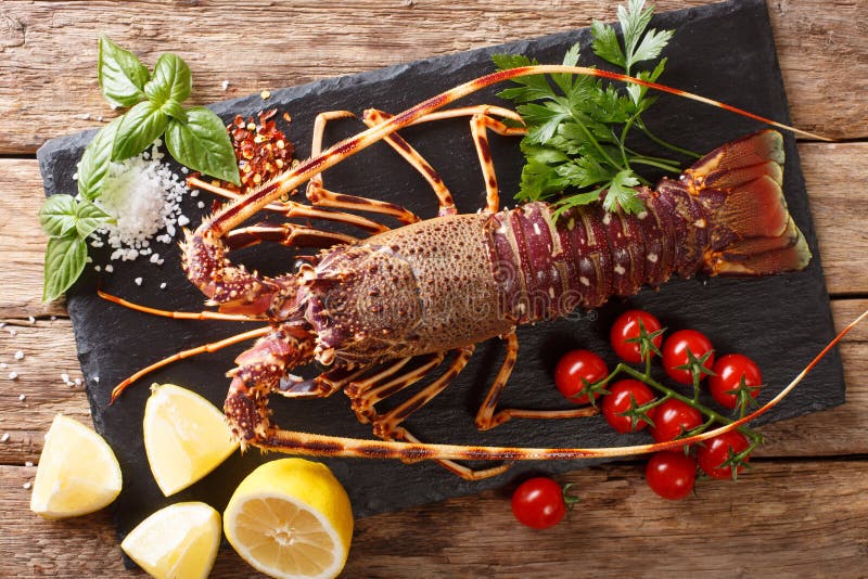 Preparation for cooking food spiny lobster or sea crayfish with