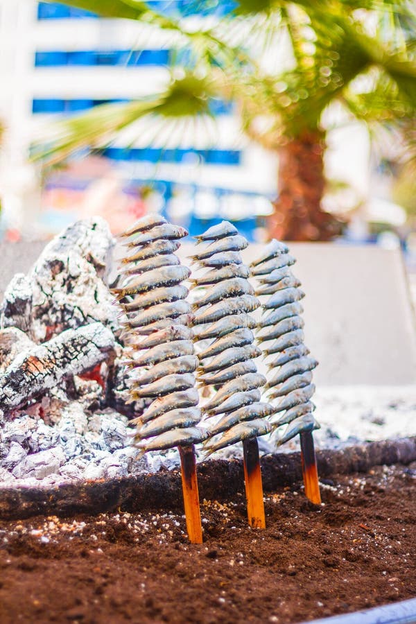 Preparation of Grilled Sardine Fish on a Stick at the Beach Stock Image