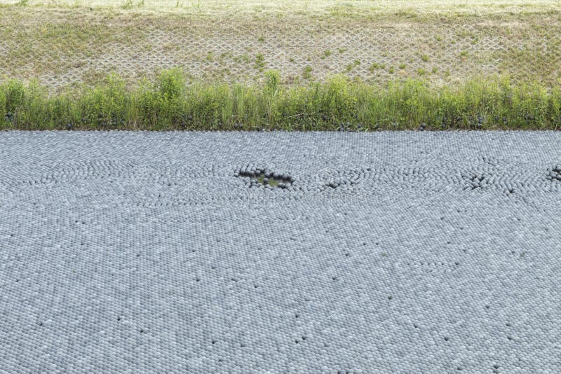 Preparation of the Reservoir for Conservation and Filling with Plastic