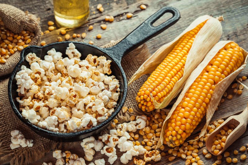 Prepared popcorn in frying pan, corn seeds and corncobs