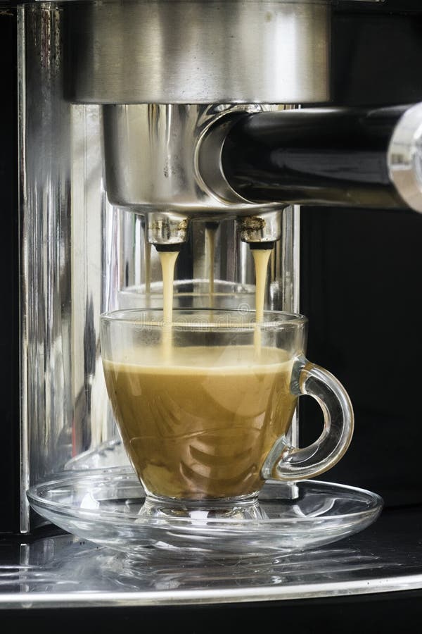 Preparation of Hot Coffee in the Presser Stock Image Image of