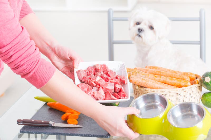 Preparing Natural Food for Pets Stock Image Image of canine, organic 69152547