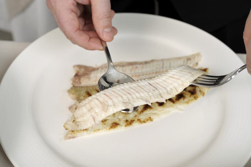 Grilled sole fish stock photo. Image of fresh, nutrition 3865990