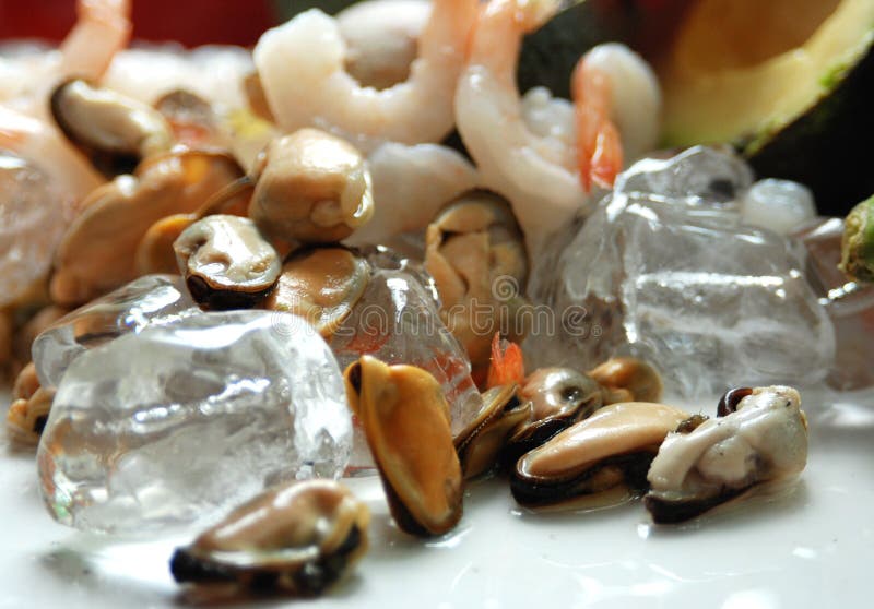 Preparing seafood stock image. Image of mussel, seafood 43792333