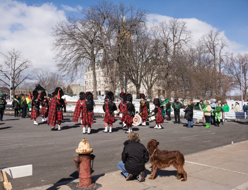 Preparing for the St. Patrick`s Day parade stock images Preparing for the St. Patrick`s Day parade stock images