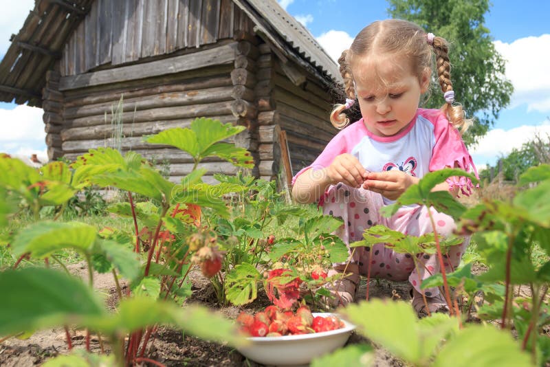 Preschooler blonde girl gathering home-grown