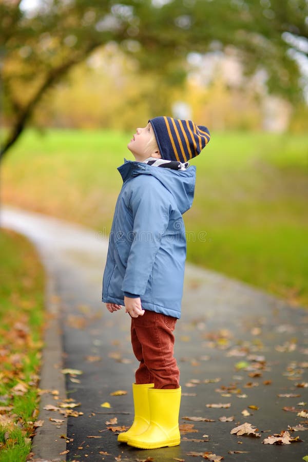 Preschooler boy walking in autumn park. Kid exploring nature. Outdoor activities for children