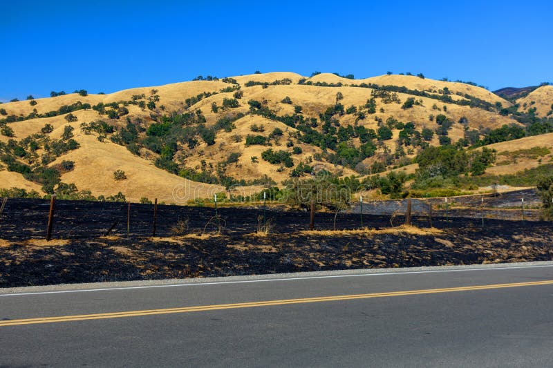 A prescribed burn has left a charred patch of land alongside a road, contrasting with the golden hills and scattered trees in stock photos