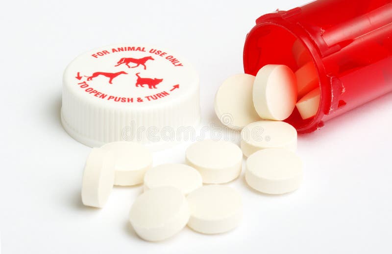 Prescrição veterinária imagem de stock