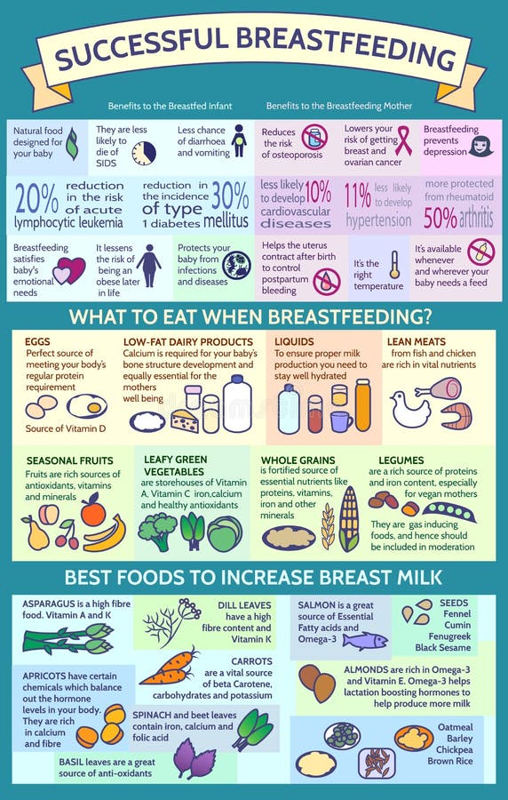 Presentation template What To Eat When Breastfeeding?Best Foods