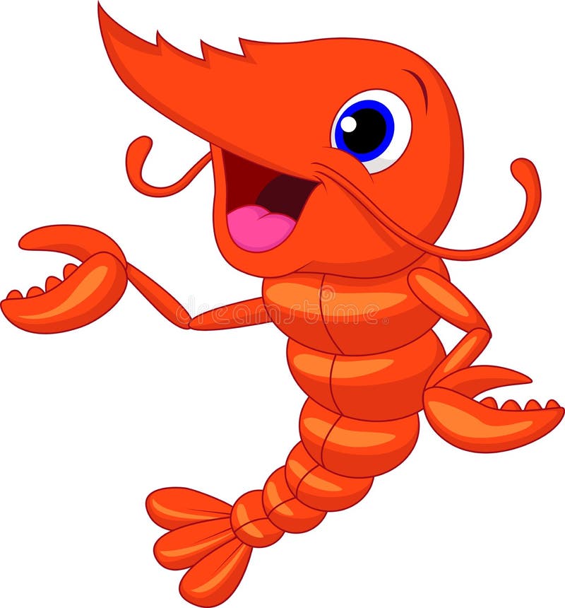 Illustration of Cute shrimp cartoon presenting. Illustration of Cute shrimp cartoon presenting